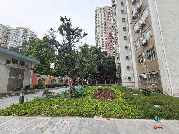 德荣小区实景图